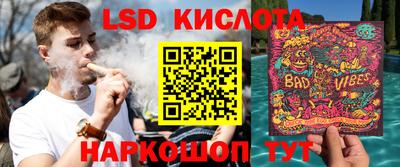 прущие грибы Можга